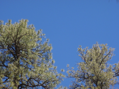 Beautiful Blue Sky.